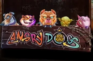 Angry Dogs