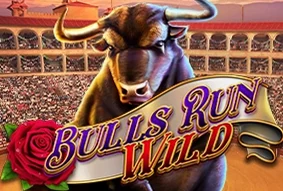Bulls Run Wild